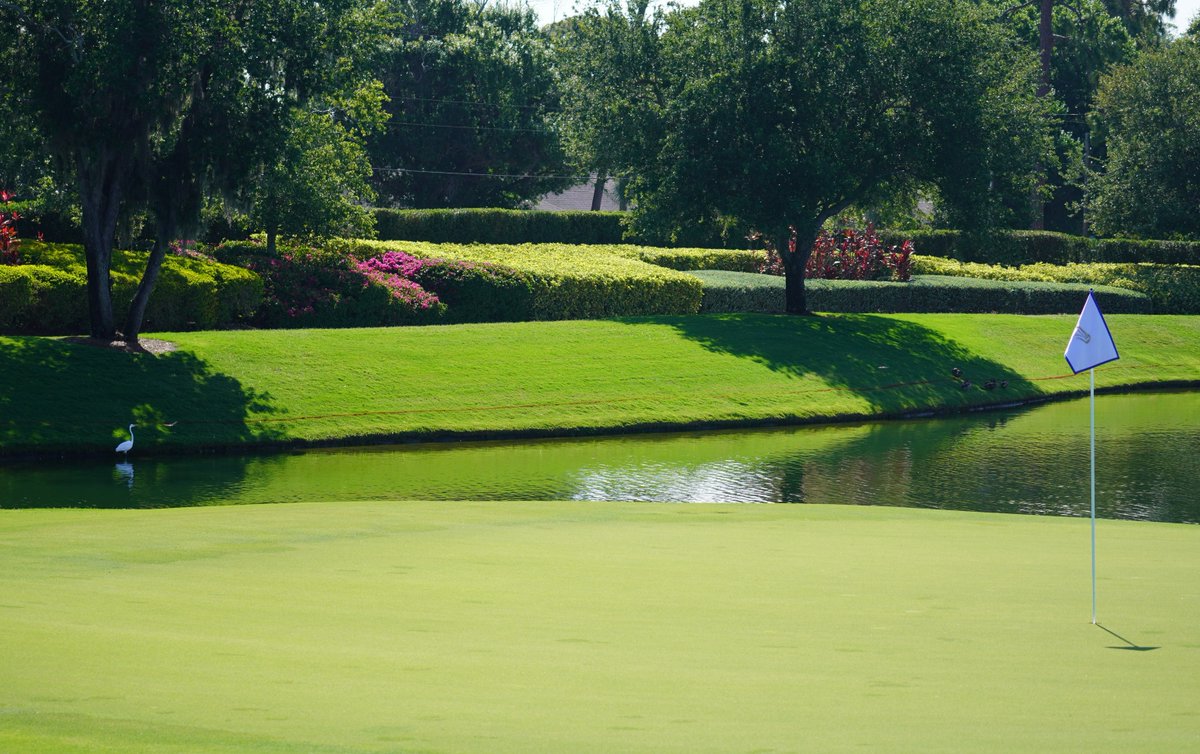 AJGA tweet media