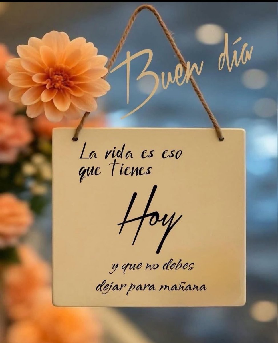 OZUNA 🧚🏻♂️❥ tweet media