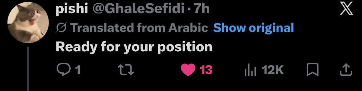روباه بی سر و پا 🦊 tweet media