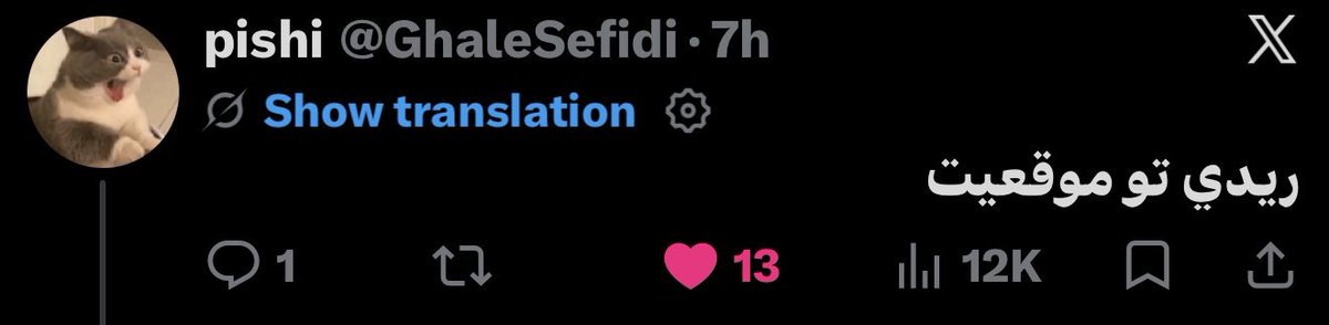 روباه بی سر و پا 🦊 tweet media