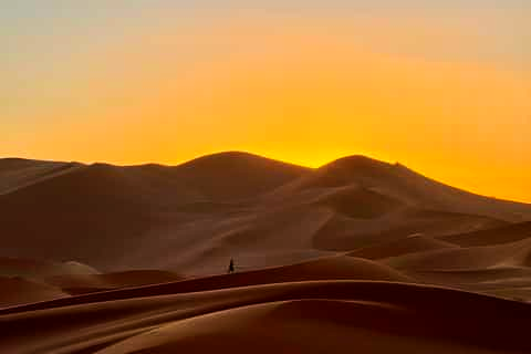 EnderEd777's tweet photo. Wishing you a Great Tuesday!
- sunrise over dunes, Dakhla NP, Morocco (c. GetYourGuide)

#photography #photo #foto #sunrise #dakhla #nationalpark #sanddunes #desert #gooddayphotos https://t.co/F5ZVj57kzo