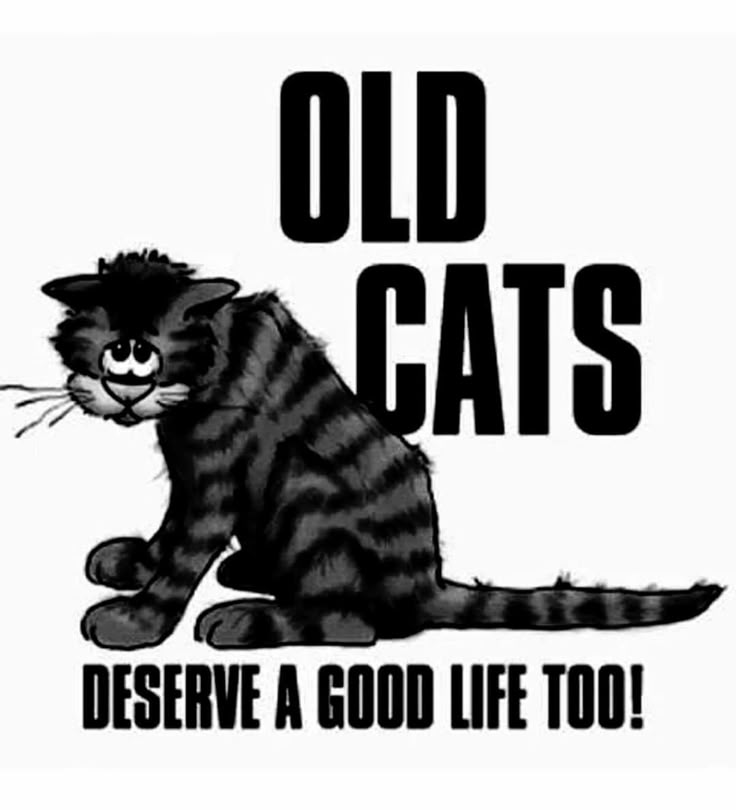 The pets only 🐾 tweet media