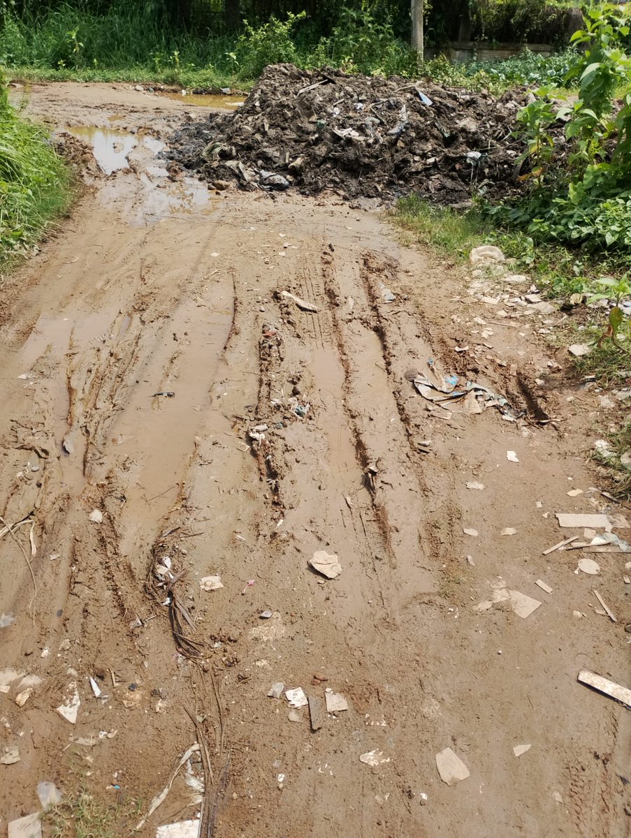 connectCKC's tweet photo. @mrigen_sarania Sir, GMC cleared drains today early morning but dumped all toxic sludge right on our road, blocking us!
​📍 Birina Path, Bylane 07, Kerakuchi.
​Aunt in GNRC ICU; can't drive out for this medical emergency. Complete health hazard. Please clear it today! https://t.co/f7TwlqqzU8
