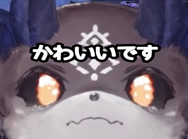 ま〜いまい tweet media