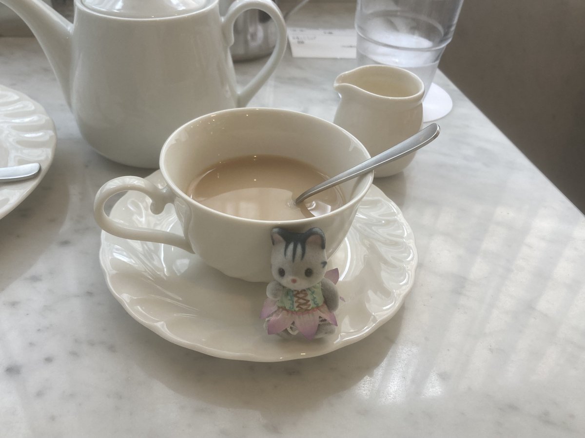 ハムスターを追う tweet media