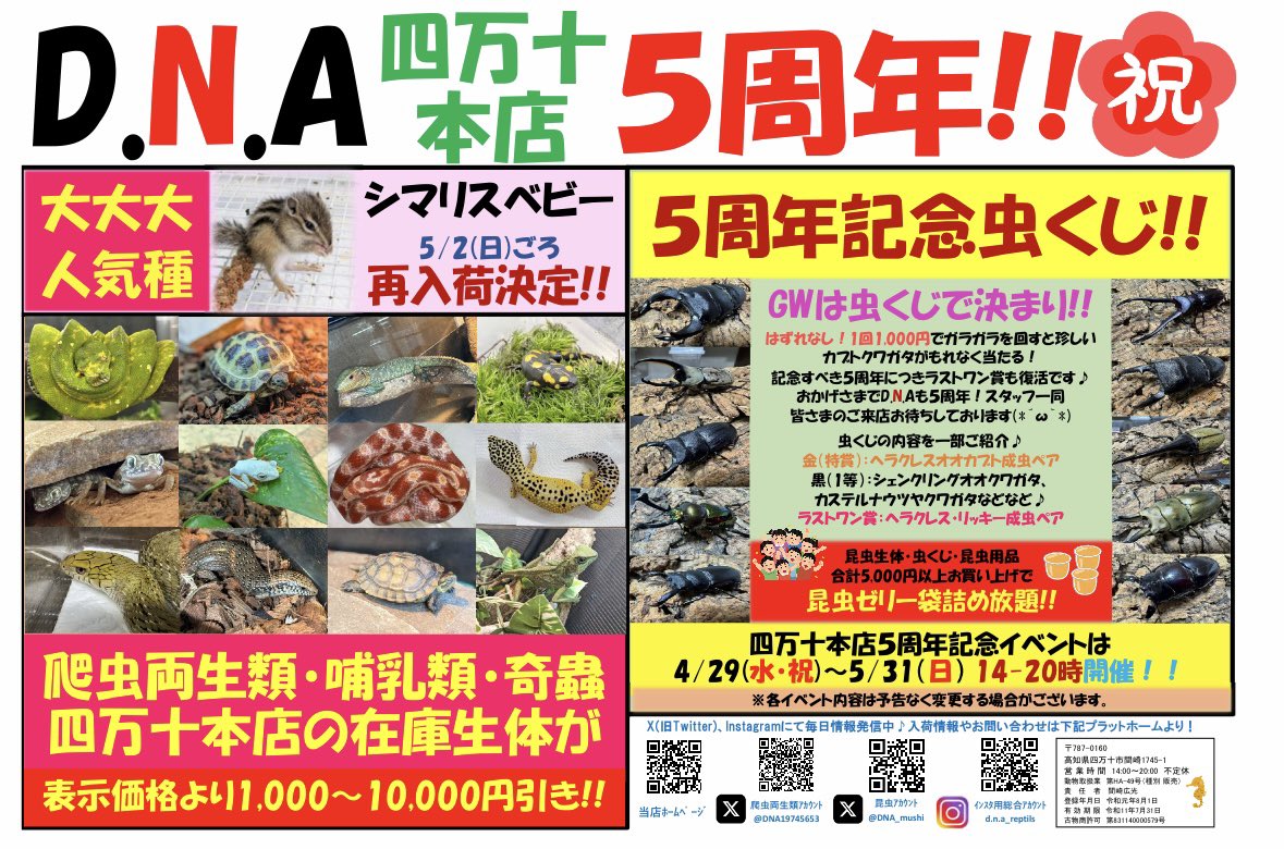 極上 本抹香鯨　虫　根付　重さ:45g. H4-4-3 📣虫くじイベント好評開催中📣 D.N.A四万十本店5周年につき特別