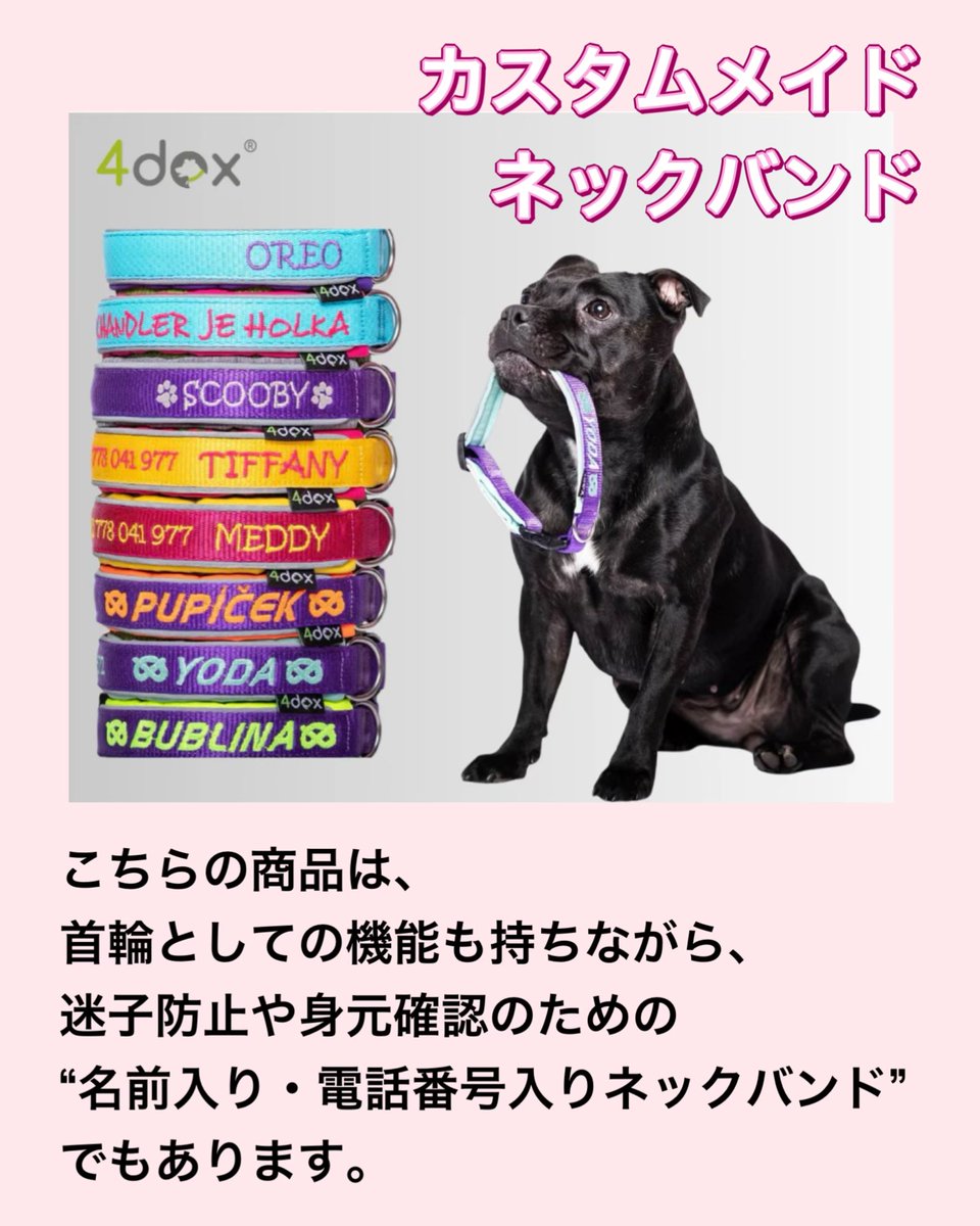 リードを繋がない⁉️【犬の首輪】 PR 愛犬が迷子になったら… 避難の
