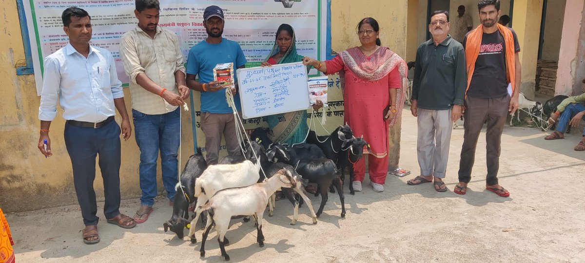 IPRD Koderma tweet media