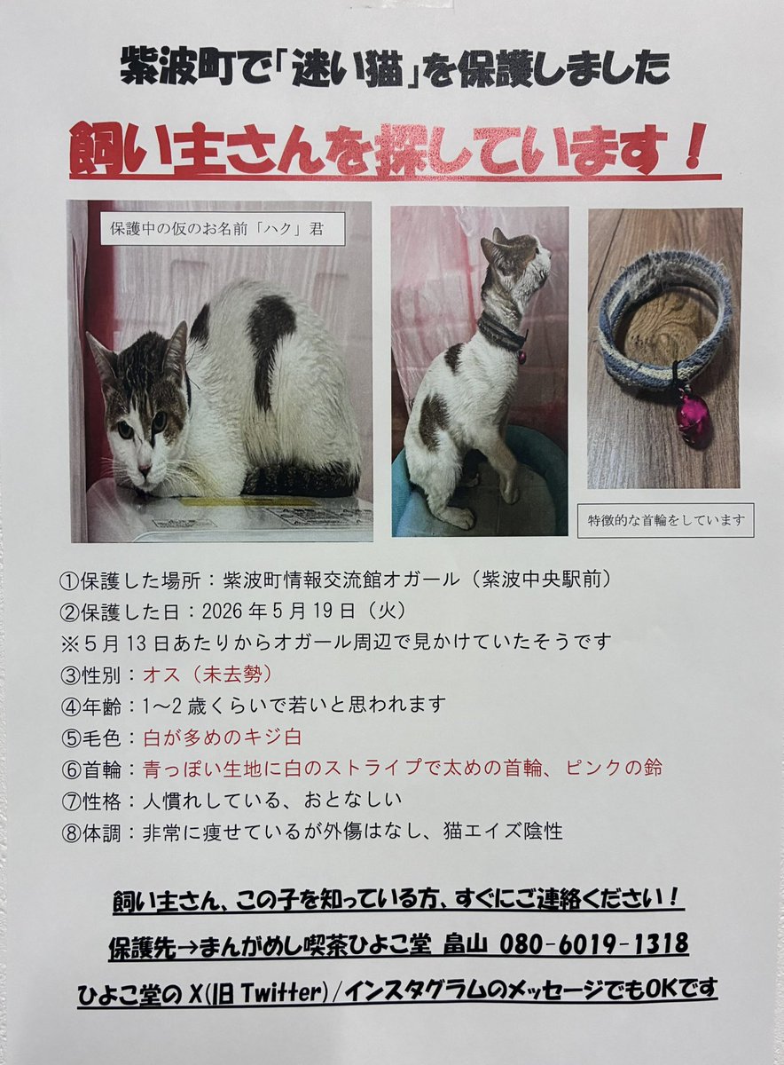 🐥まんがめし喫茶 ひよこ堂🐥 tweet media