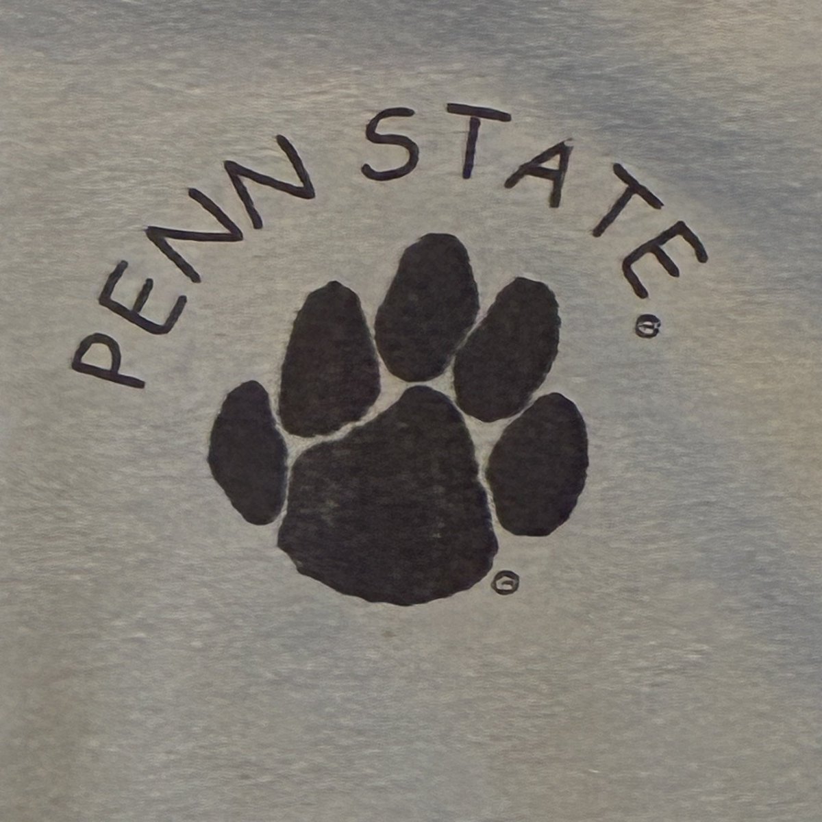 VAULTaged's tweet photo. 🐾 Vintage Penn State heat added to the vault.

Clean minimalist Nittany Lions paw logo tee on a soft light blue Anvil blank. Simple college graphics always hit different when they age right.

Available now through VaultAgedShop — link in bio.

#PennState #NittanyLions #VintageTee #CollegeVintage #NCAA