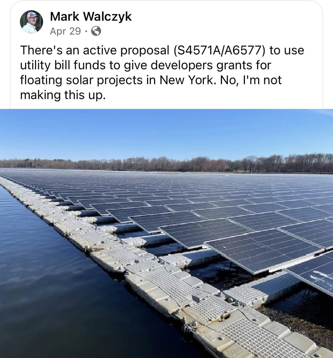 Alex Fasulo tweet media