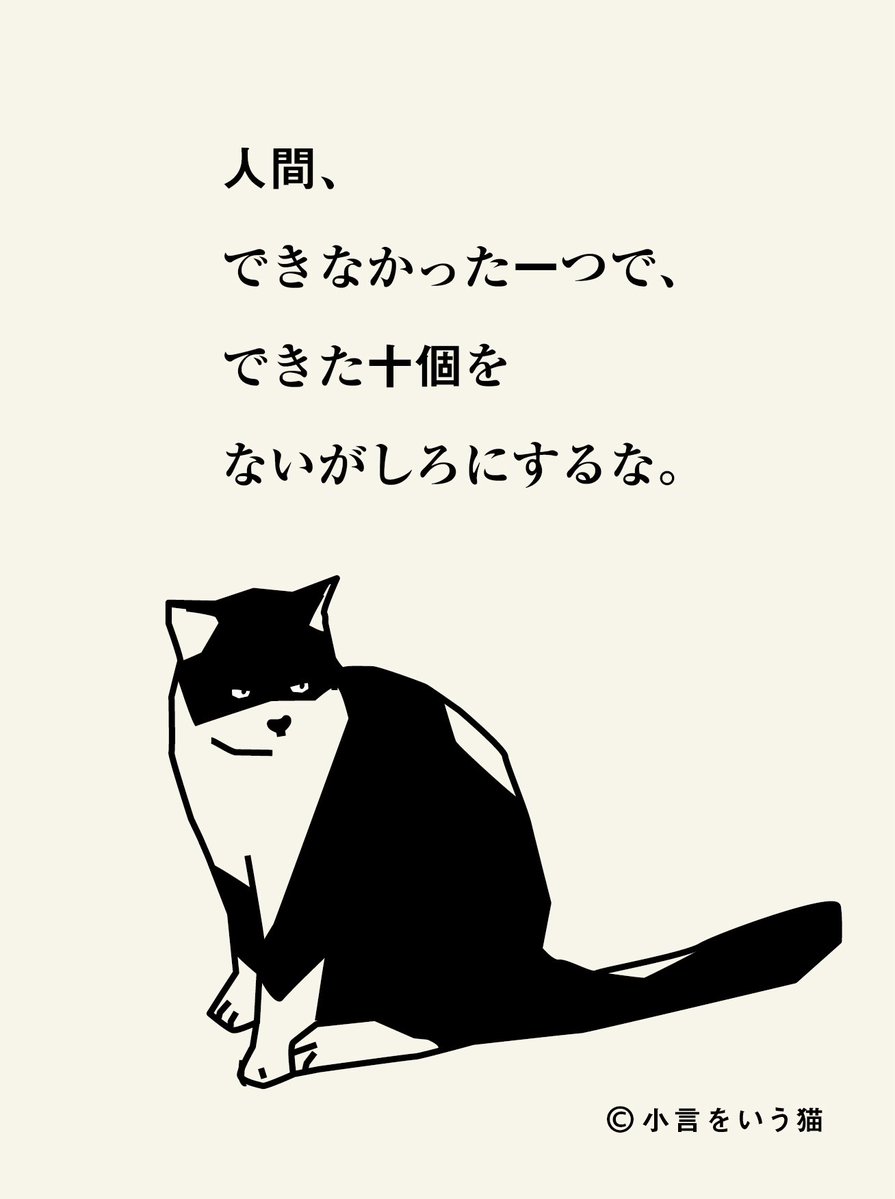 小言をいう猫 tweet media