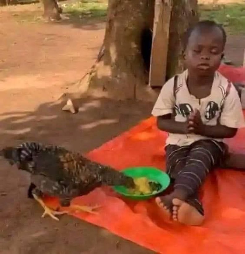 palvinkish's tweet photo. How they eat your girl when you act gentleman 🤣🤣 https://t.co/c7UVoN2gfy