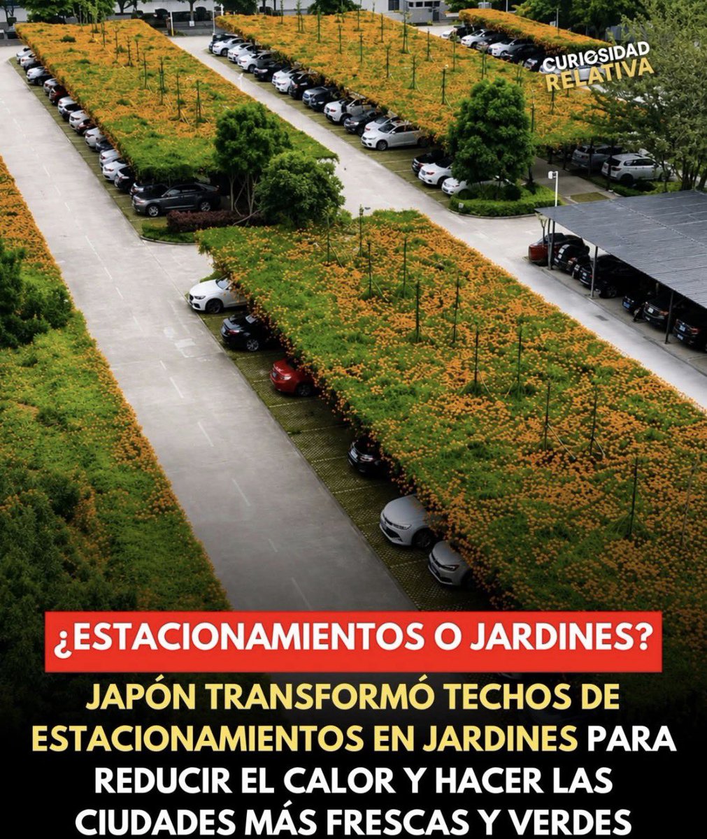 Javo Sanfeliú tweet media