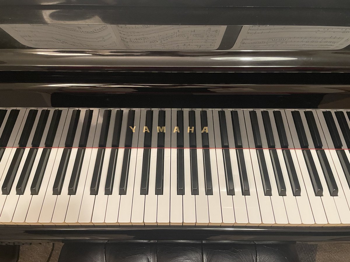 tspfvl's tweet photo. 先日理系の方が
ピアノって誰が弾いても同じ音がするはずなのにたーさんの音色が印象に残るのなんで？と聞かれて
鍵盤アクションの構造部品が1鍵に数百×88鍵、私の指と全身に関節と節が数万、脳細胞が数億、+場と心拍と呼吸+解釈
総動員した結果が私の音色です🎹
と答えたら（略 https://t.co/c3rR4Ml42t
