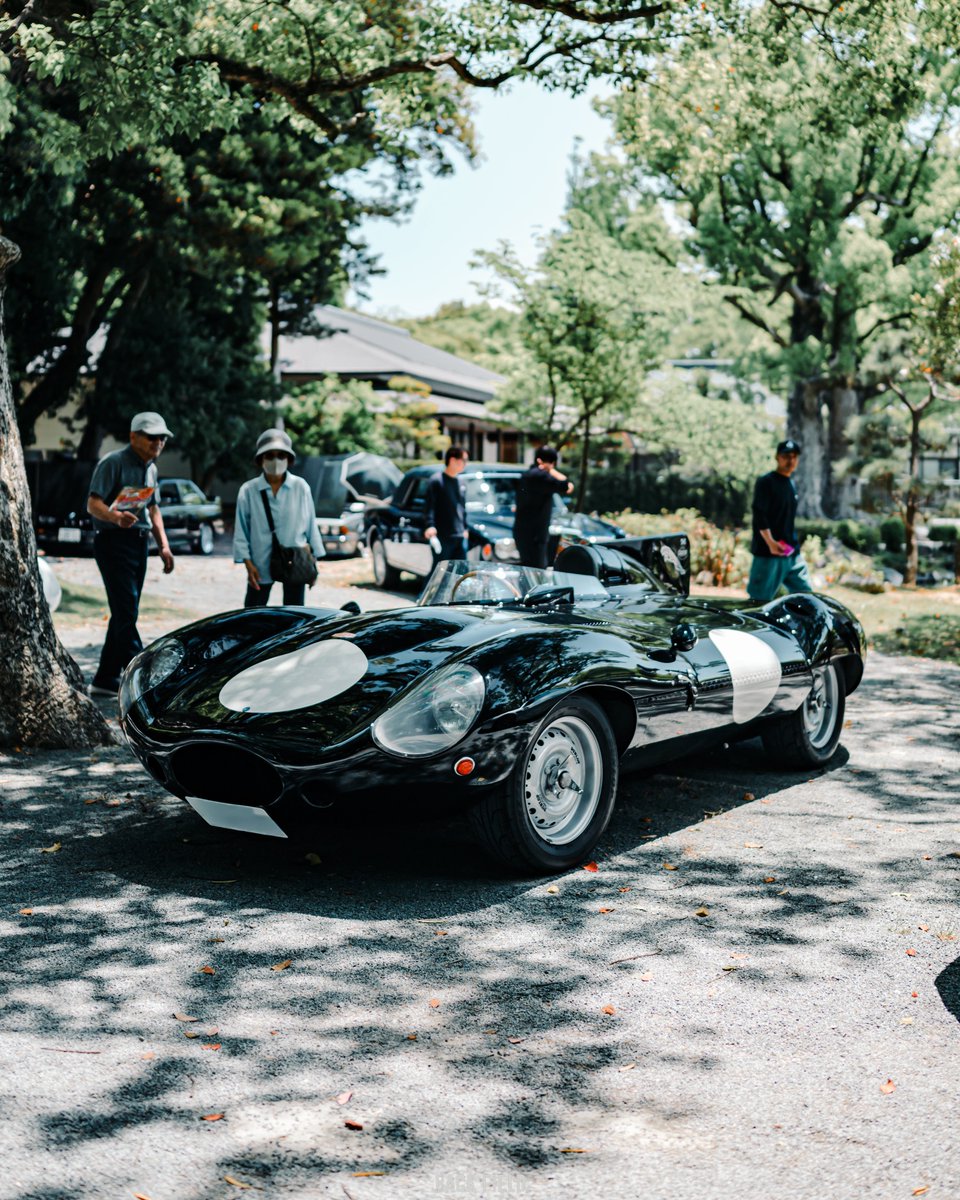 backfield_hide's tweet photo. jaguar https://t.co/2YnlNegdjP