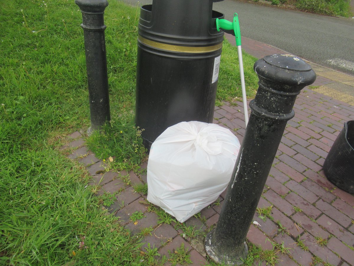 pestelfox tweet media