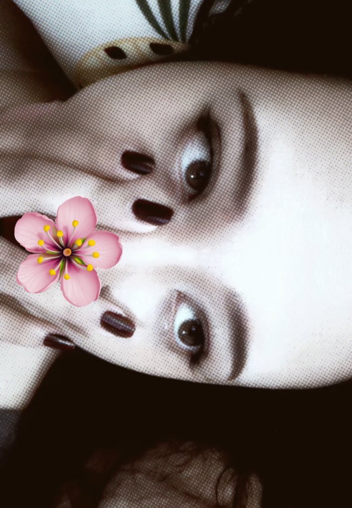 devita ♡ tweet media