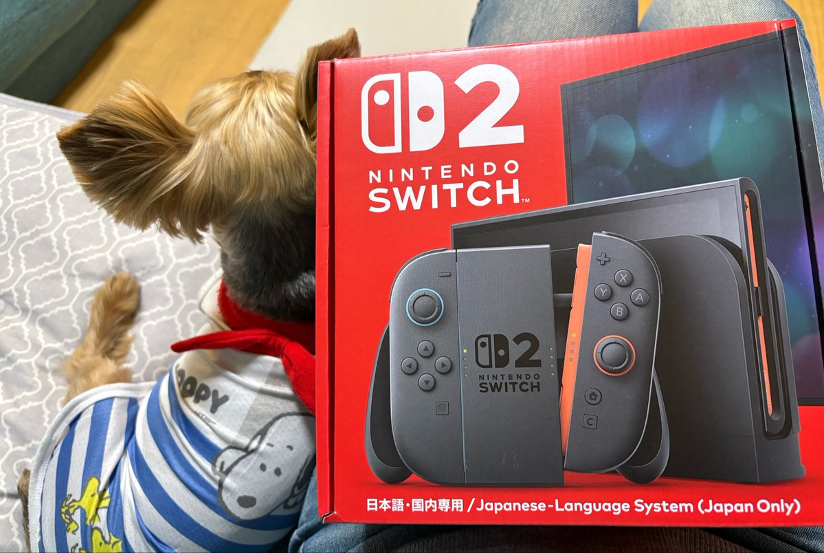 爆発寸前Switch ゲットしました🥹 さよなら爆発寸前のSwitch…9年間ありがとう……