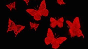 lilhawkb's tweet photo. ⠀
                 ⸻ 𝑳𝒊𝒏𝒌𝒔  ➳
  
❝ 𝕾𝖔𝖒𝖊 𝖈𝖔𝖓𝖓𝖊𝖈𝖙𝖎𝖔𝖓𝖘 𝖆𝖑𝖙𝖊𝖗 𝖉𝖊𝖘𝖙𝖎𝖓𝖎𝖊𝖘 ❞ https://t.co/Q6VTrwUCQ5