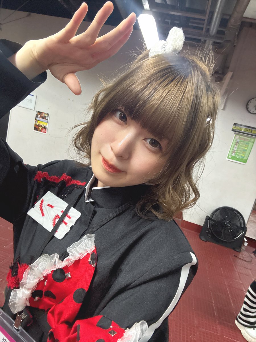 電波らん@とんでもはっぷん! tweet media