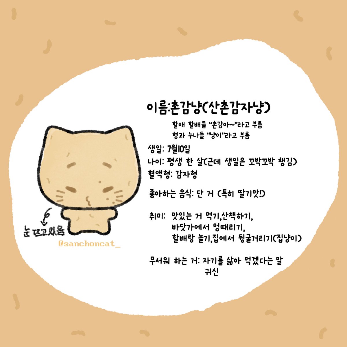 촌감냥🥔 tweet media