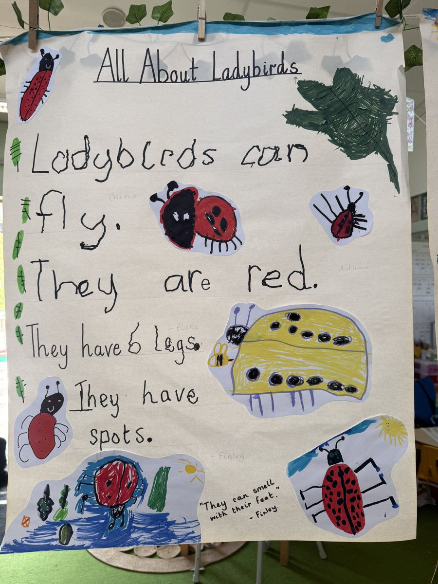 MrsFarrNCP's tweet photo. @nantcelynschool https://t.co/hNyz0HGs7k