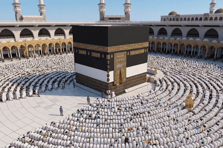 العلوم للعموم tweet media