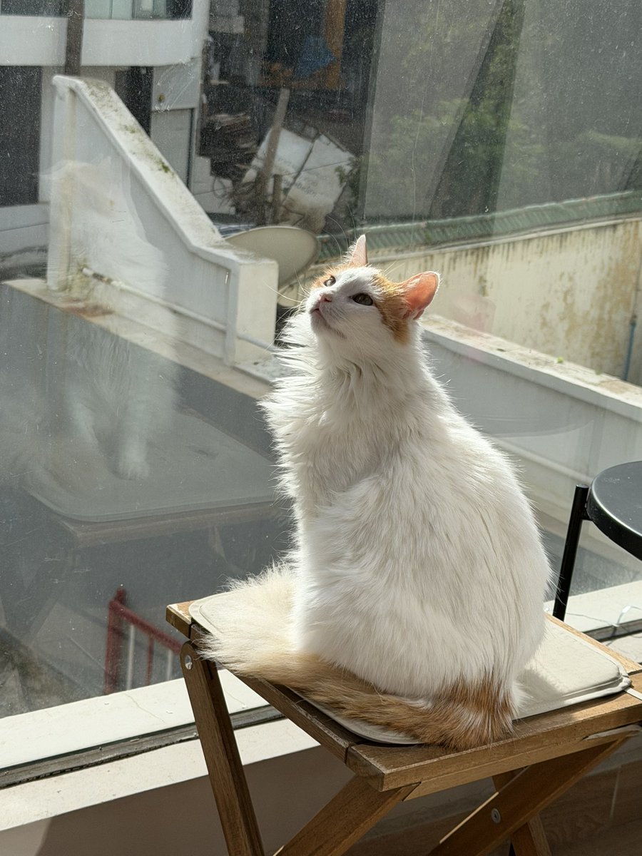 naanourisma's tweet photo. J’espère te retrouver dans l’haut-delà ma fille je t’ai aimé et je t’aimerai pour toujours https://t.co/z6zirt6K0J