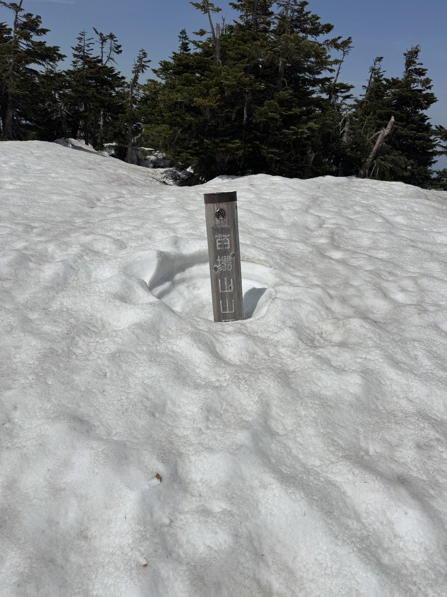 nonocotom's tweet photo. 本日は新潟は苗場山。残雪に悪戦苦闘💦 https://t.co/HjV6xsko92