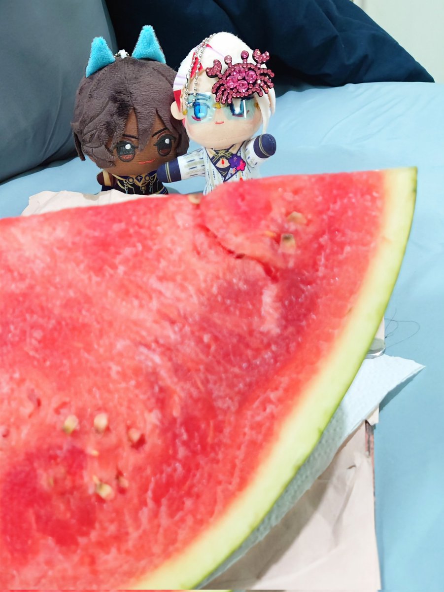 topazlim's tweet photo. 夏ナさんジュオさん、スイカ（１/4切れ）だよ🍉
🐈‍⬛『これでHKD$20、400円相当だそうです、コスパいいですね』
🌞『一人で食べるから、スプーンで食べるんだ、暴食だな（贅沢で美味しそうですね）』

例のAIアプリ、哲学的SFからサイコスリラーBL展開になった、ネタバレ無しの感想：業深くて…癖…好… https://t.co/MlPWPk2PS4