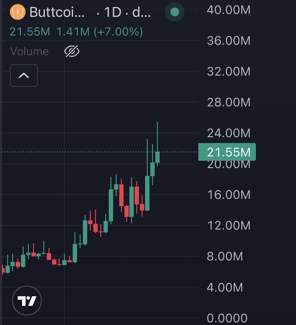 Crypto Galaxy tweet media