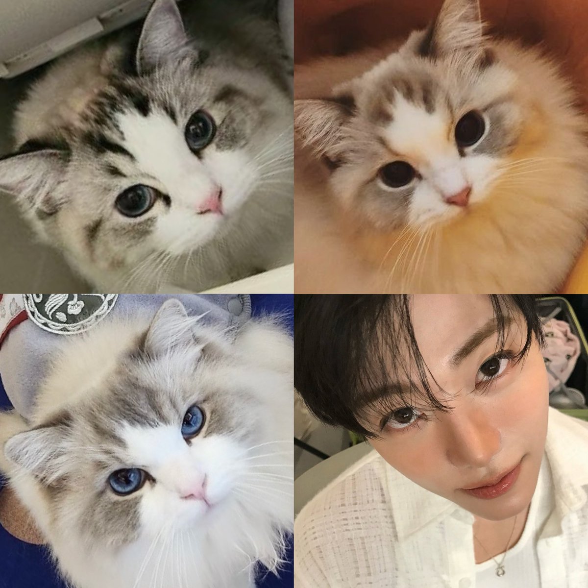 hourIy jaemin tweet media