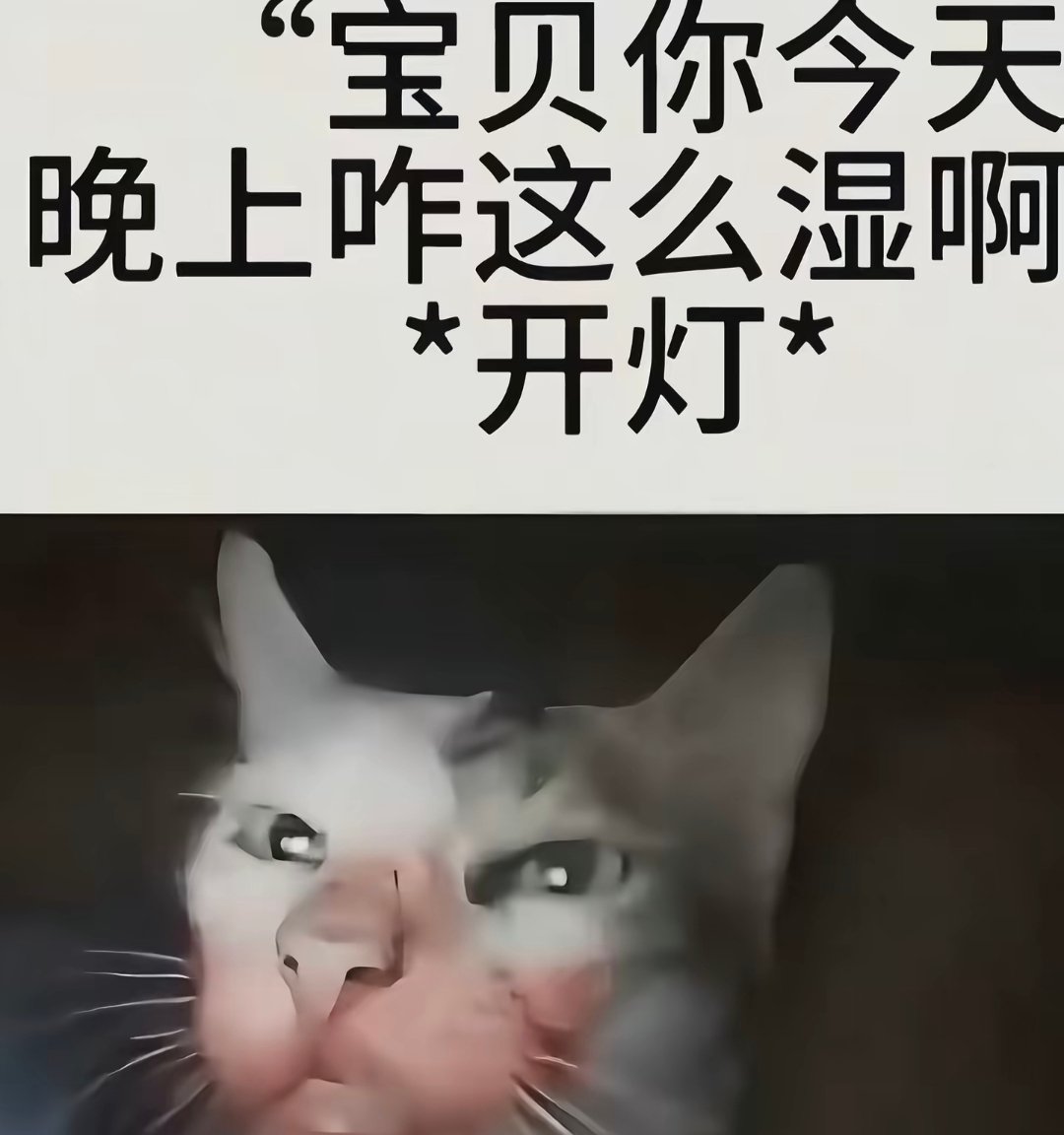 𝒀𝒊𝒏 tweet media