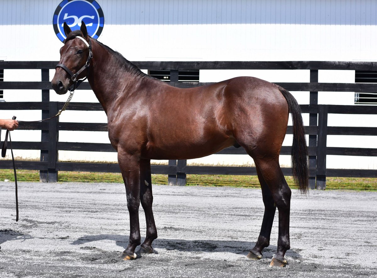 Blue Chip Farms tweet media