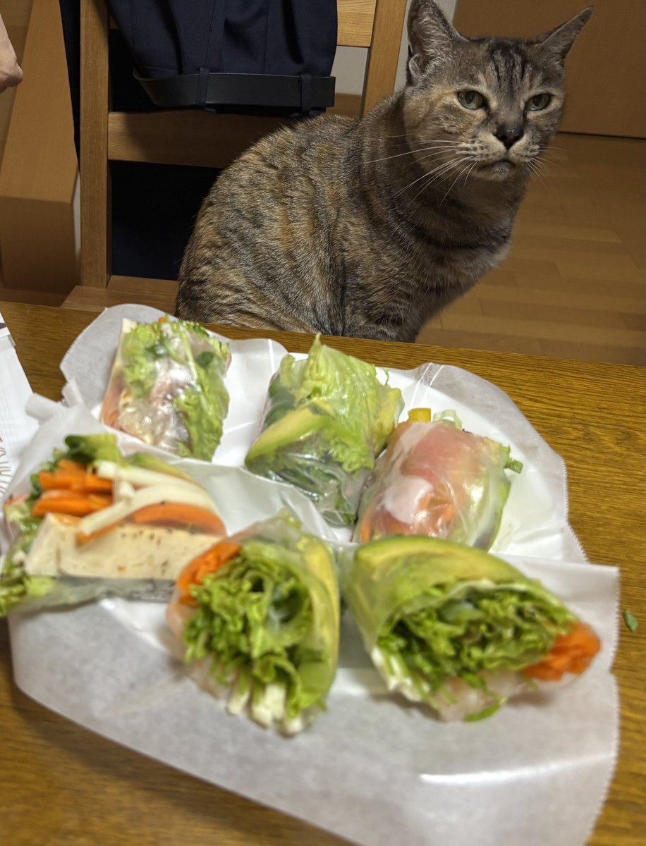 ねむるねこ (@nobita4989) / Posts / X