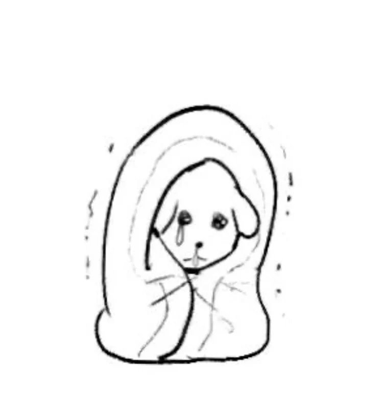 아쵸쵸쵸 🩸🪡 tweet media