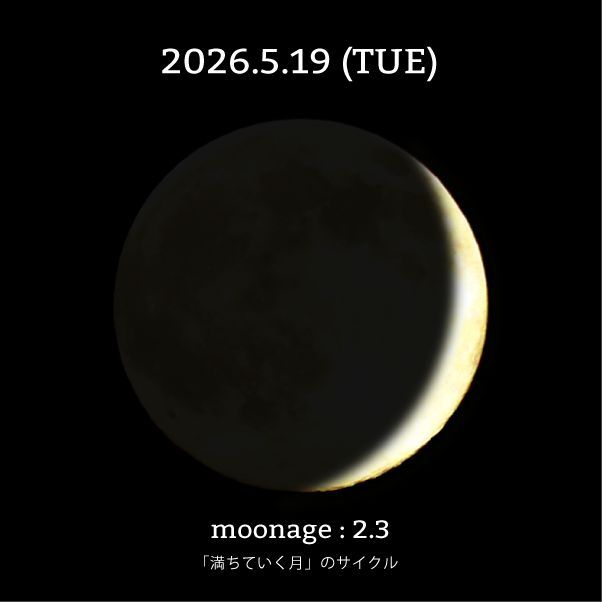 moon_cycle tweet media