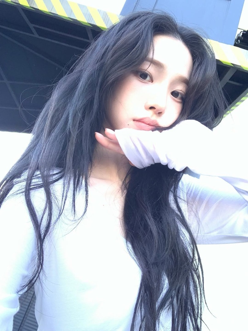 Woodsy Corner. tweet media