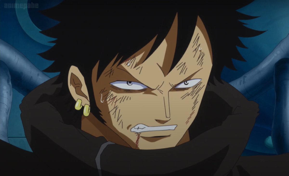 juni 𖦹 dressrosa tweet media