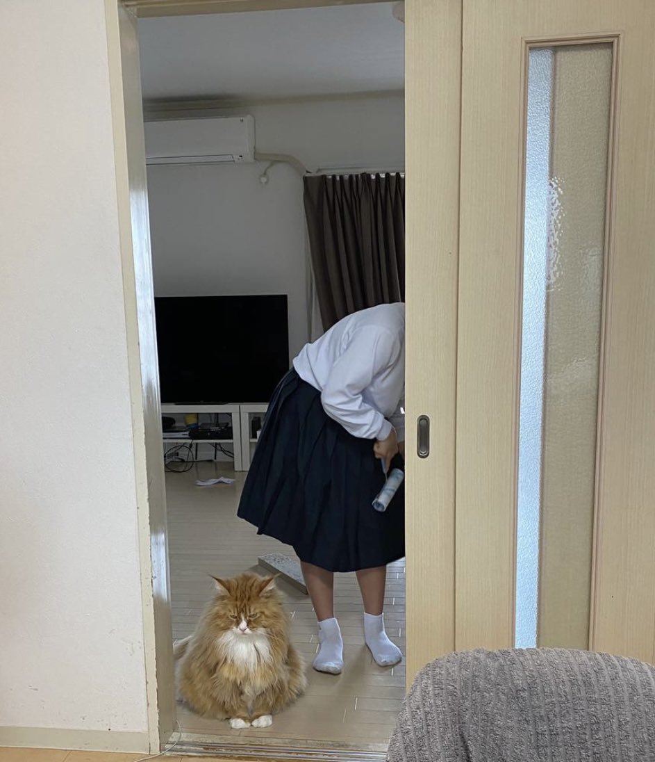mk2914rk's tweet photo. レアちゃん1周忌

レアに会いたいなぁ。 https://t.co/2tRi8RfAa1