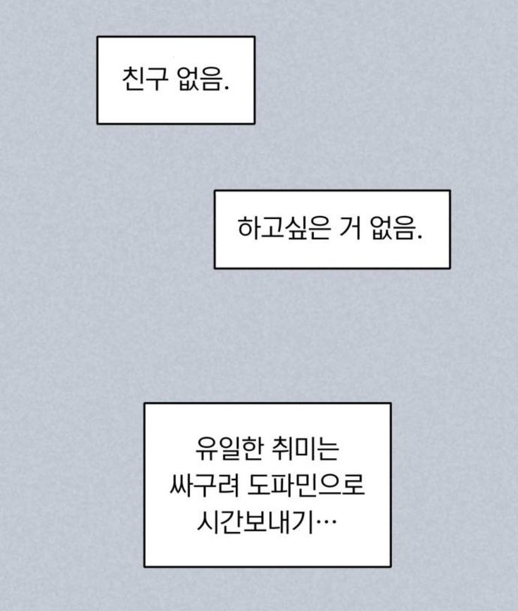 라이 tweet media
