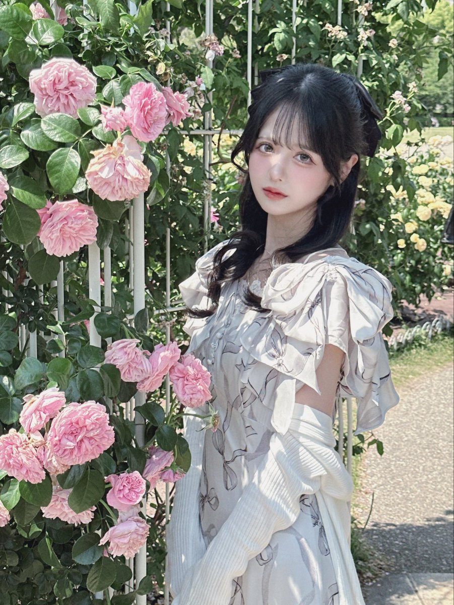 浪費婆 (@355229_s2) / Posts / X
