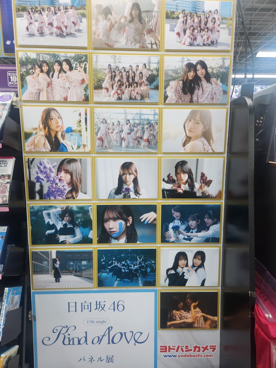 定期安定のヨドバシ川崎さんでKind of loveフラゲ💿 サインはさく