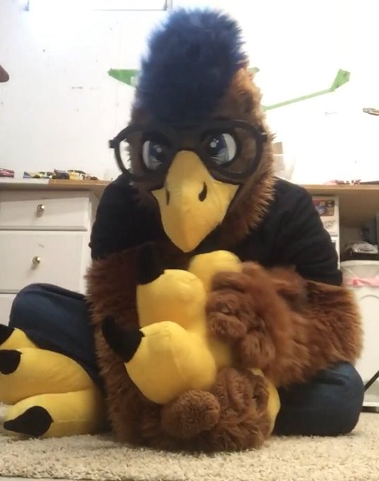 DonderHawk's tweet photo. Calm before Paw Day tomorrow.
Got to get these feet ready!
#TalonTuesday https://t.co/DsJ0FnYofZ