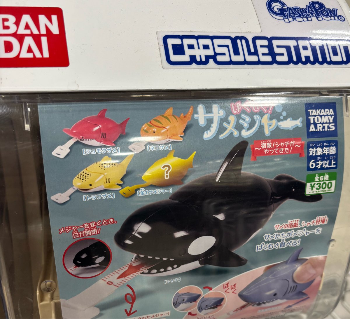ぢぃ tweet media