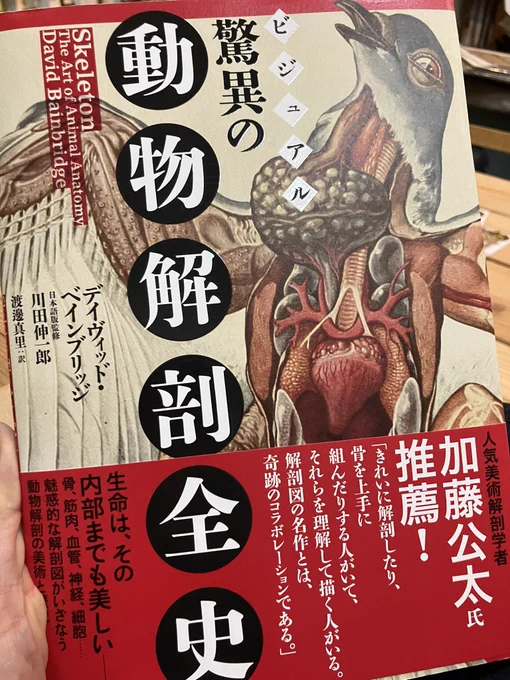 楽しみにしていた本が届いた。
『動物解剖全史』
しかし、訳者より監修の方が大きく書かれることに、本当に腹が立つ。https://t.co/Cu4lDZiQZ5 
