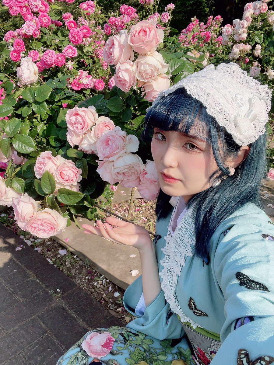 🥀×🦋 豆千代モダンさん @mamechiyomodern ・薔薇と蝶のワルツ の訪問