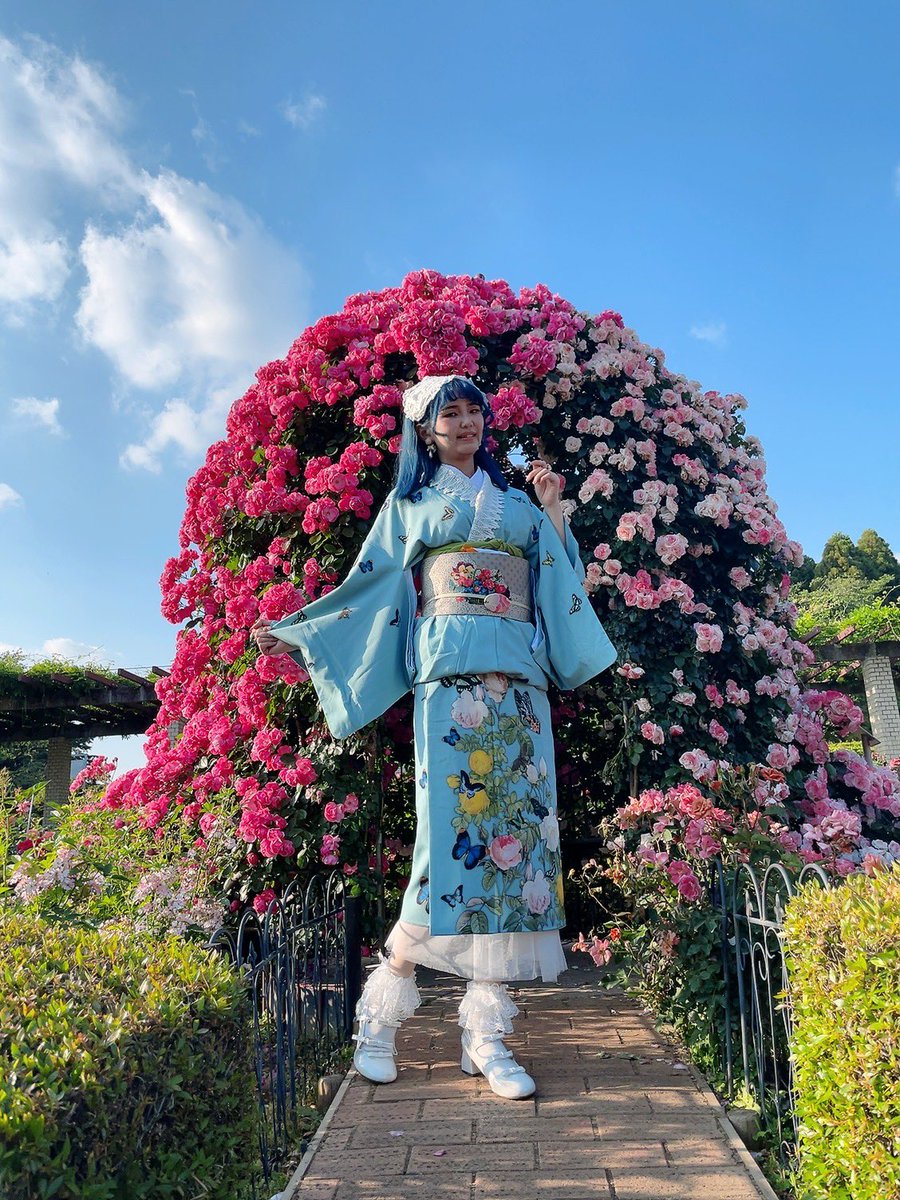 🥀×🦋 豆千代モダンさん @mamechiyomodern ・薔薇と蝶のワルツ の訪問
