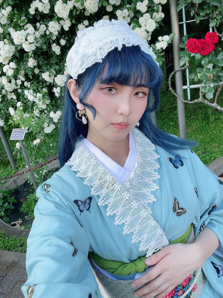 🥀×🦋 豆千代モダンさん @mamechiyomodern ・薔薇と蝶のワルツ の訪問
